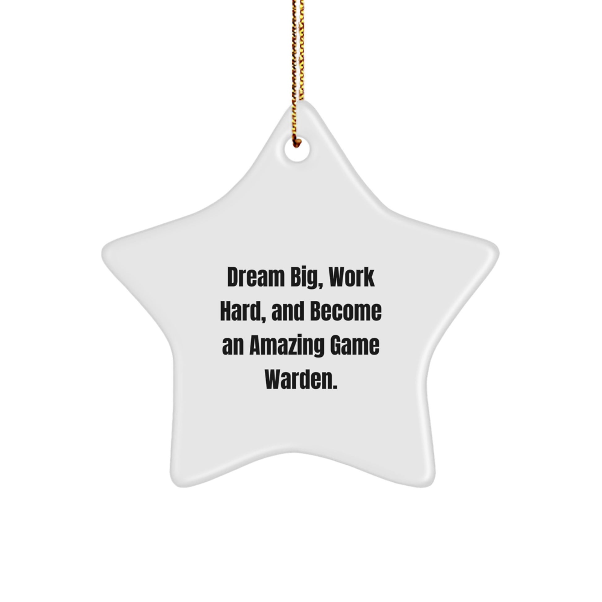 Funny Inspirational Game Warden Gifts for Friends - Star Ornament with 'Dream Big, Work Hard, And Become An Amazing Game Warden' Quote Gifts from Family to Men Women Game Wardens at Christmas - Image 1