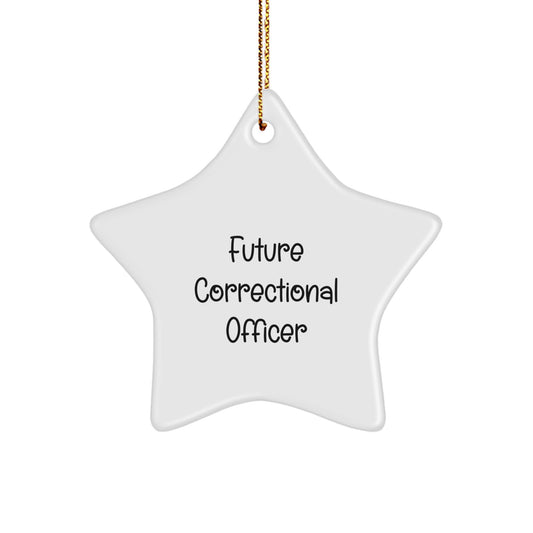 Funny 'You're a Future Correctional Officer, Now Shine' White Star Ornament for Correctional Officer Gifts from Friends and Family at Christmas - Image 1