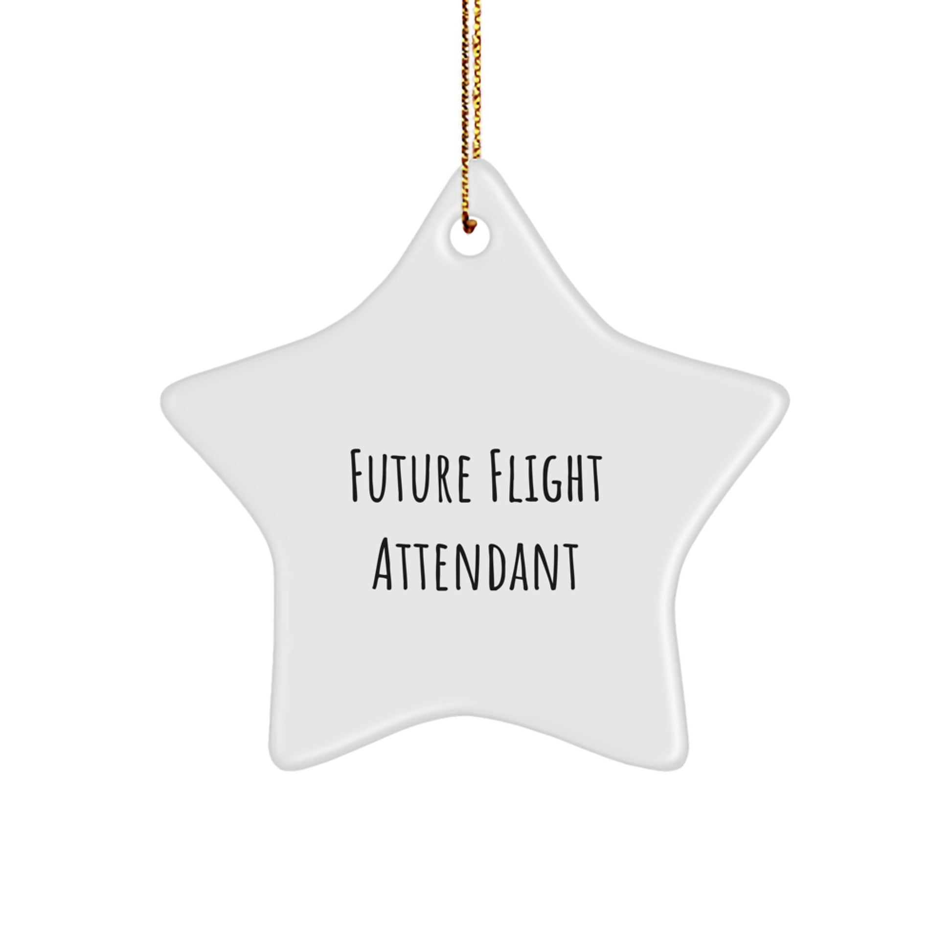 Funny Future Flight Attendant Christmas Star Ornament Gifts from Friends and Family, Inspirational Star Shaped Flight Attendant Gifts, Unique Christmas Unique Gifts for Flight Attendant Men and Women - Image 1