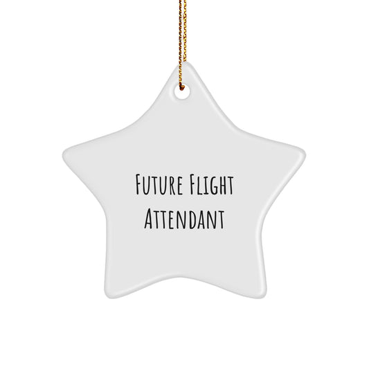 Funny Future Flight Attendant Christmas Star Ornament Gifts from Friends and Family, Inspirational Star Shaped Flight Attendant Gifts, Unique Christmas Unique Gifts for Flight Attendant Men and Women - Image 1