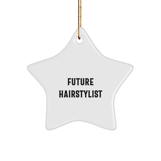 Funny Future Hairstylist Gifts from Family, Christmas Unique Star Ornament for Hairstylist, Inspirational Quote Star Shaped Decoration - Image 1