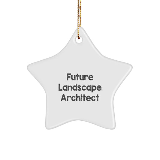 Funny Future Landscape Architect Gifts from Family - Landscape Architect Star Ornament, Inspirational Star Shaped Decorations for Christmas Unique Gifts - Image 1