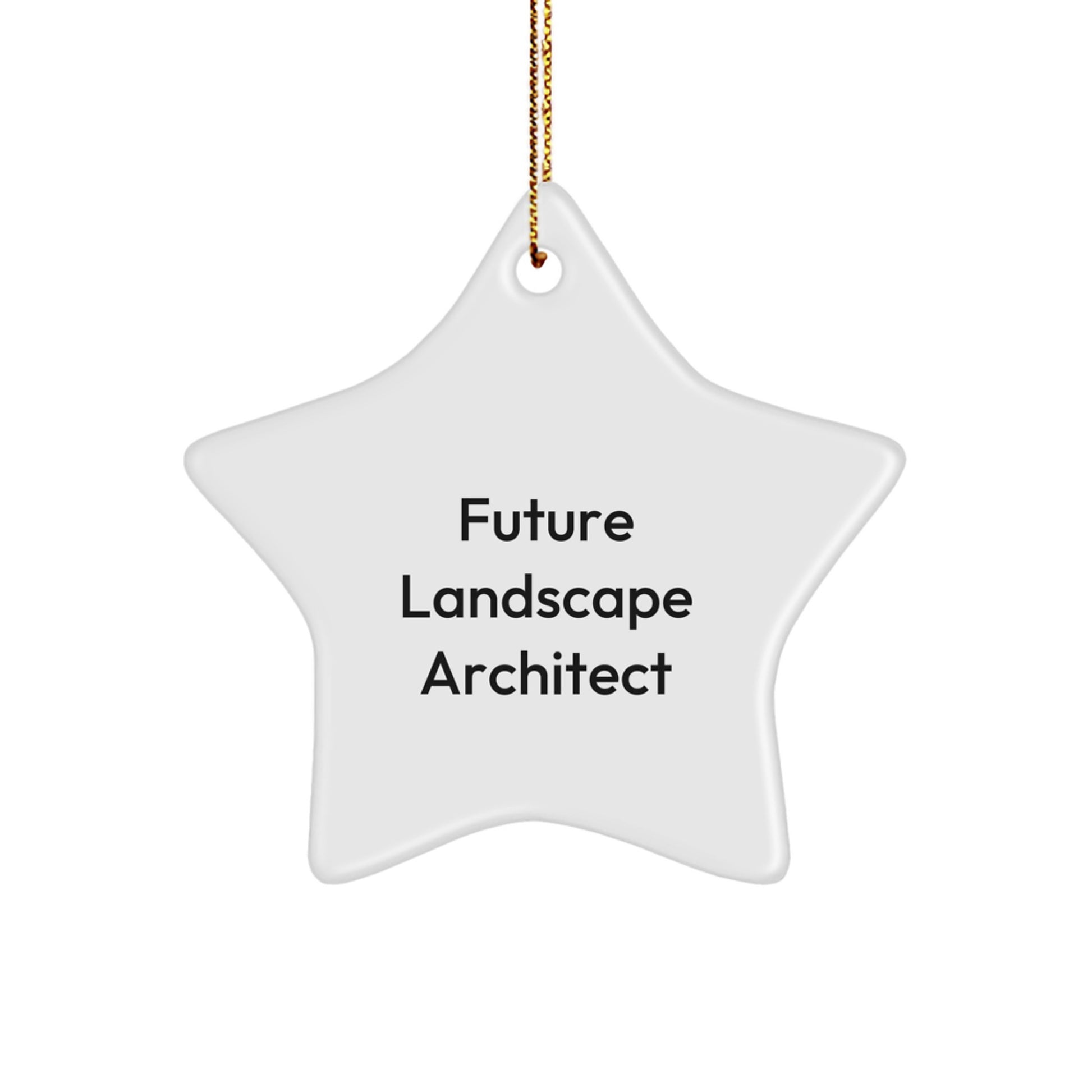 Funny Quote Star Ornament Gifts from Men to Future Landscape Architect, Christmas Unique Gifts, Star Shaped, Decorations for Home or Office, Inspirational Landscape Architect Gifts - Image 1