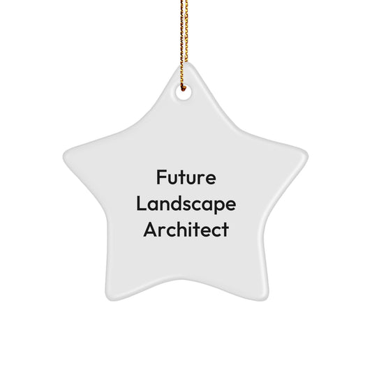 Funny Quote Star Ornament Gifts from Men to Future Landscape Architect, Christmas Unique Gifts, Star Shaped, Decorations for Home or Office, Inspirational Landscape Architect Gifts - Image 1