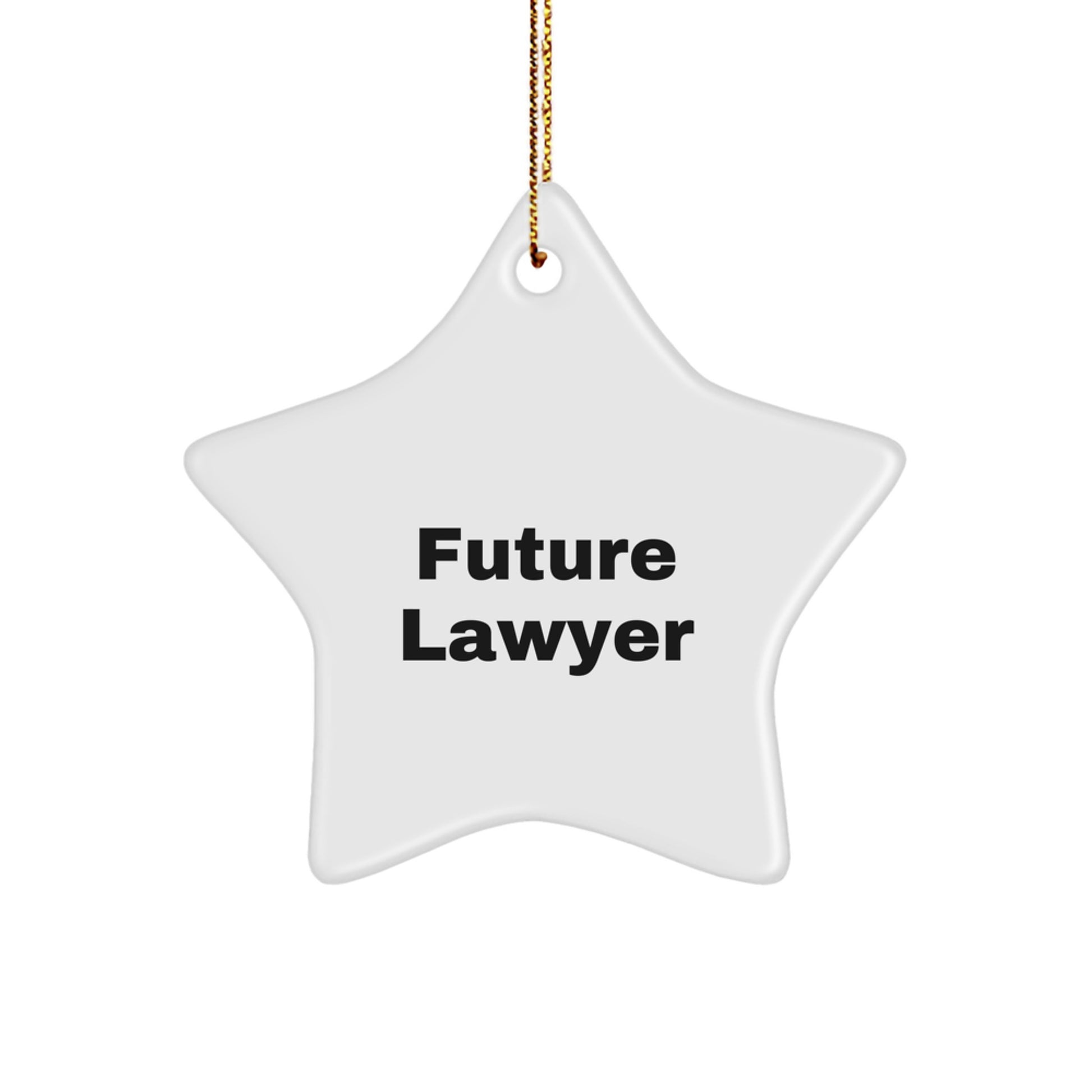 Funny Lawyer Star Ornament Gifts from Friends and Family for Future Lawyer Christmas Unique Decorations - Image 1