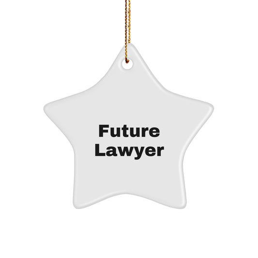 Funny Lawyer Star Ornament Gifts from Friends and Family for Future Lawyer Christmas Unique Decorations - Image 1