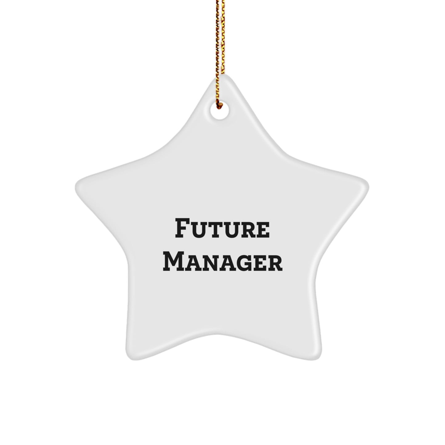 Funny Future Manager Star Ornament Gifts from Family, Manager Desk Decoration for Christmas Unique Gifts, Star Shaped Manager Decorations - Image 1