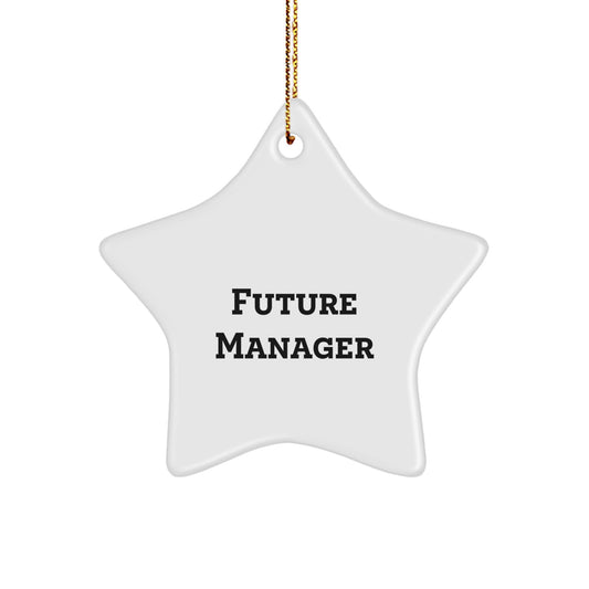 Funny Future Manager Star Ornament Gifts from Family, Manager Desk Decoration for Christmas Unique Gifts, Star Shaped Manager Decorations - Image 1