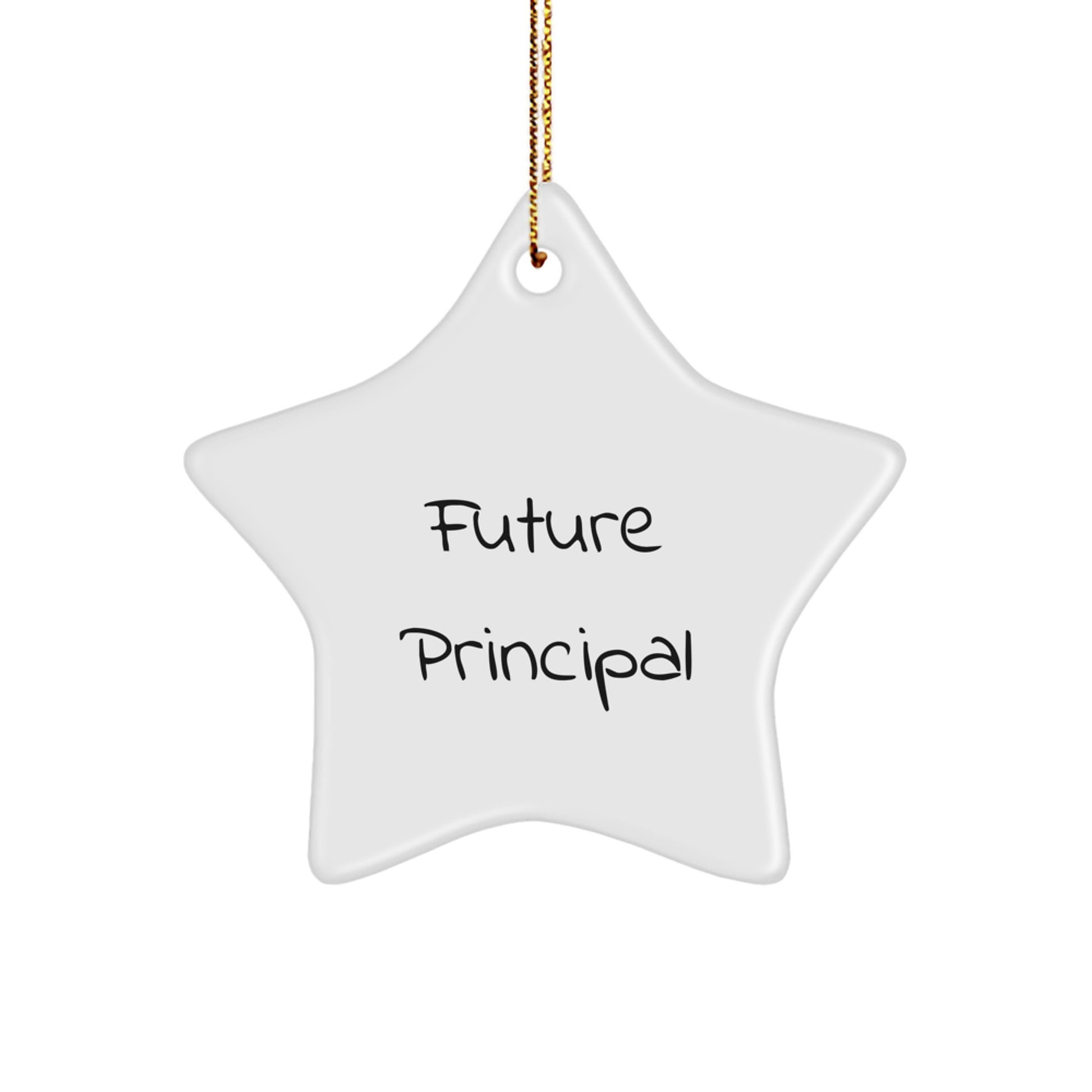 Funny Quotes for Future Principals, Christmas Star Ornament Gifts from Family to Family, Inspirational Star-Shaped Decor - Image 1