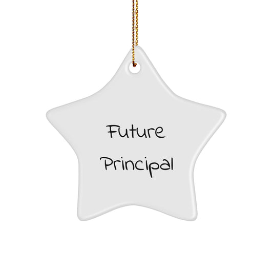Funny Quotes for Future Principals, Christmas Star Ornament Gifts from Family to Family, Inspirational Star-Shaped Decor - Image 1