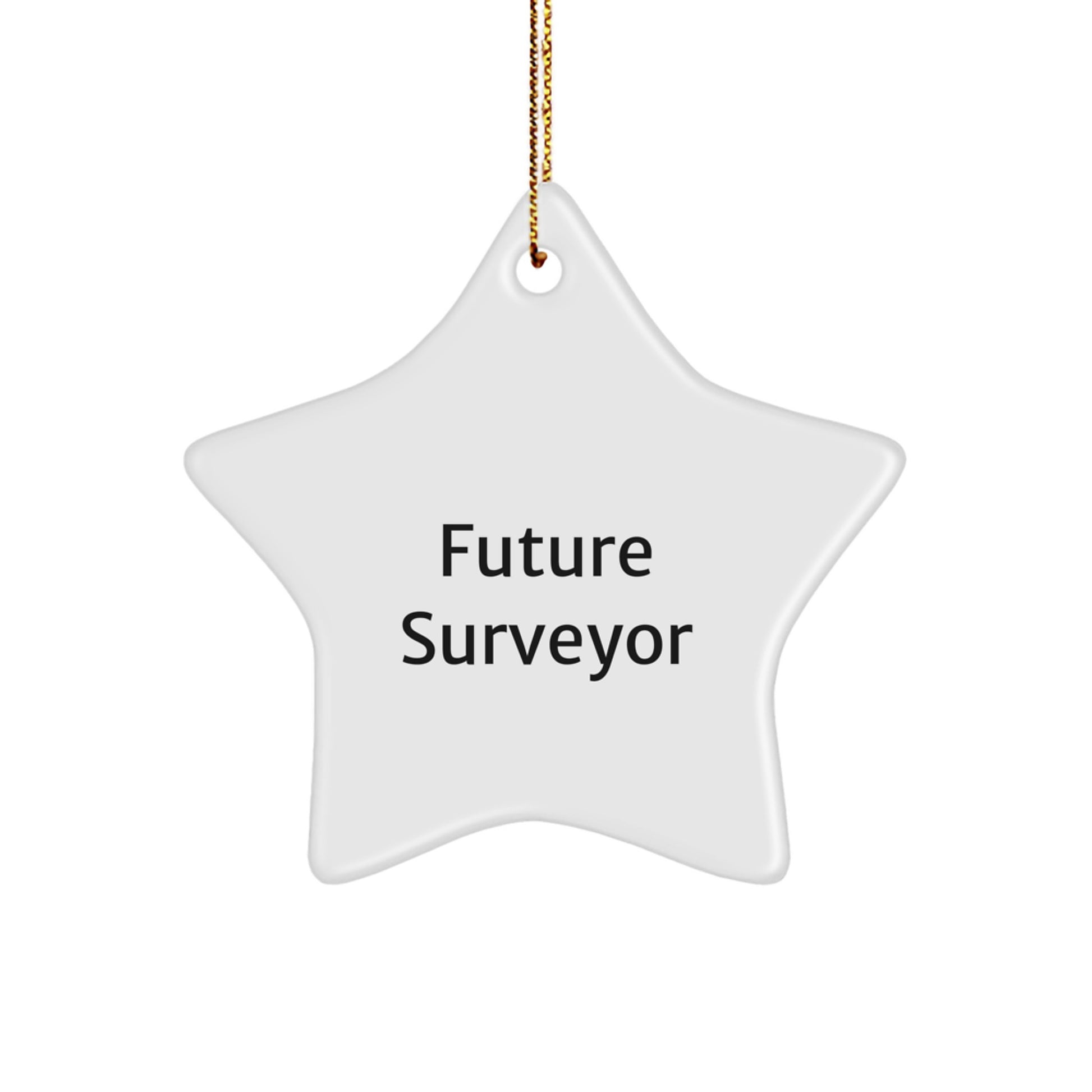 Funny Future Surveyor Star Ornament Gifts from Men to Friends for Surveyor - Image 1