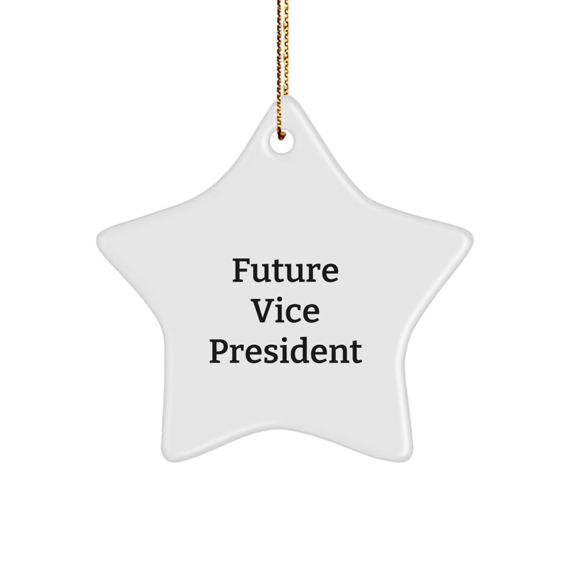 Funny Vice President Christmas Unique Gifts from Friends, Star Ornament Quotes for Future Vice President, Inspirational Star Shaped Decorations - Image 1
