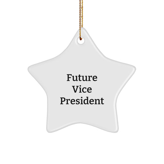 Funny Vice President Christmas Unique Gifts from Friends, Star Ornament Quotes for Future Vice President, Inspirational Star Shaped Decorations - Image 1