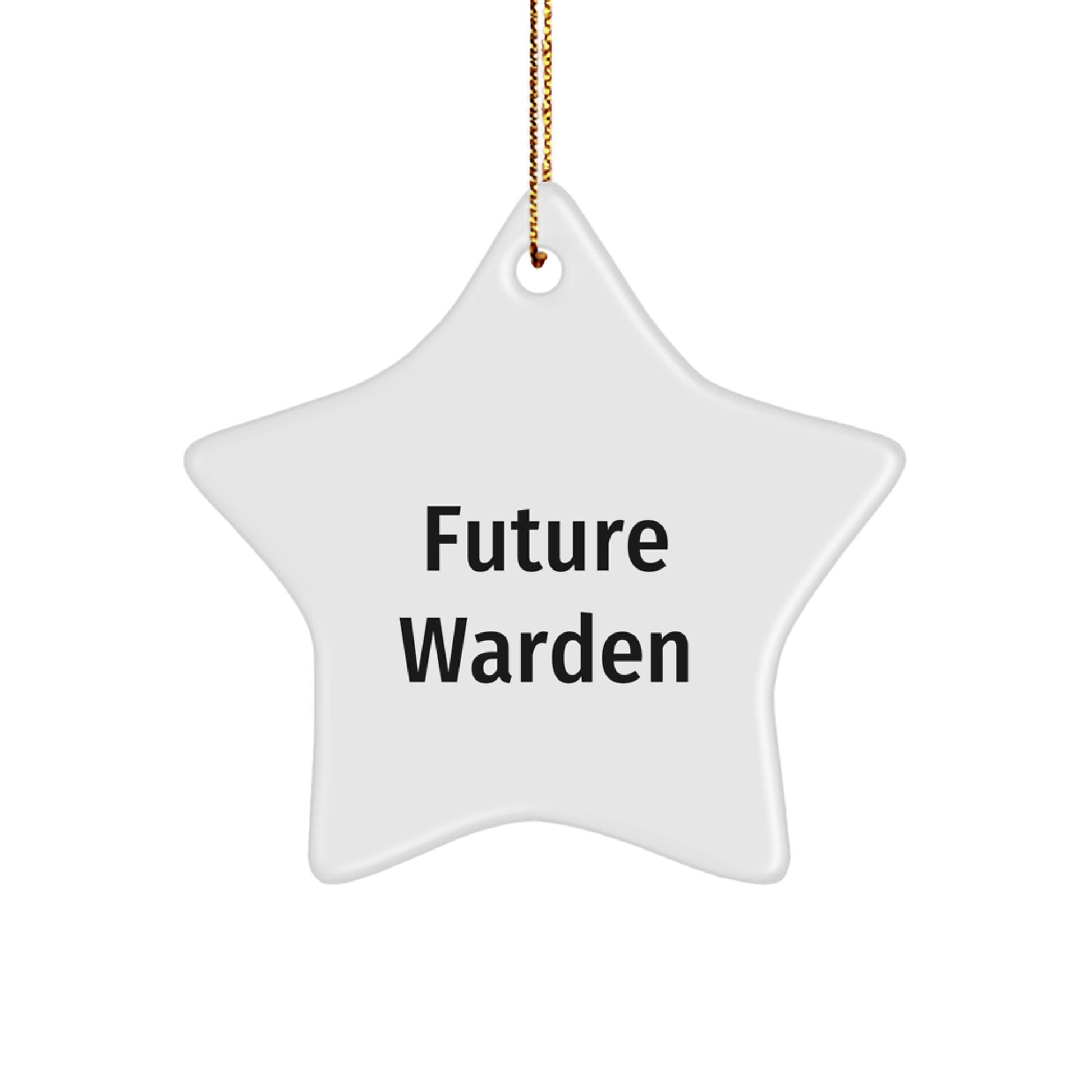 Funny Future Warden Star Ornament Gifts for Men, Unique Christmas Decorations from Friends, Warden Enthusiast Gift Ideas - Image 1