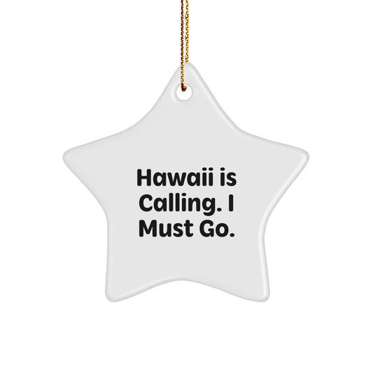 Hawaii Gifts for Men - Funny Star Ornament with 'Hawaii Is Calling. I Must Go.' Quote, Gifts from Family to Hawaii Lover - Image 1