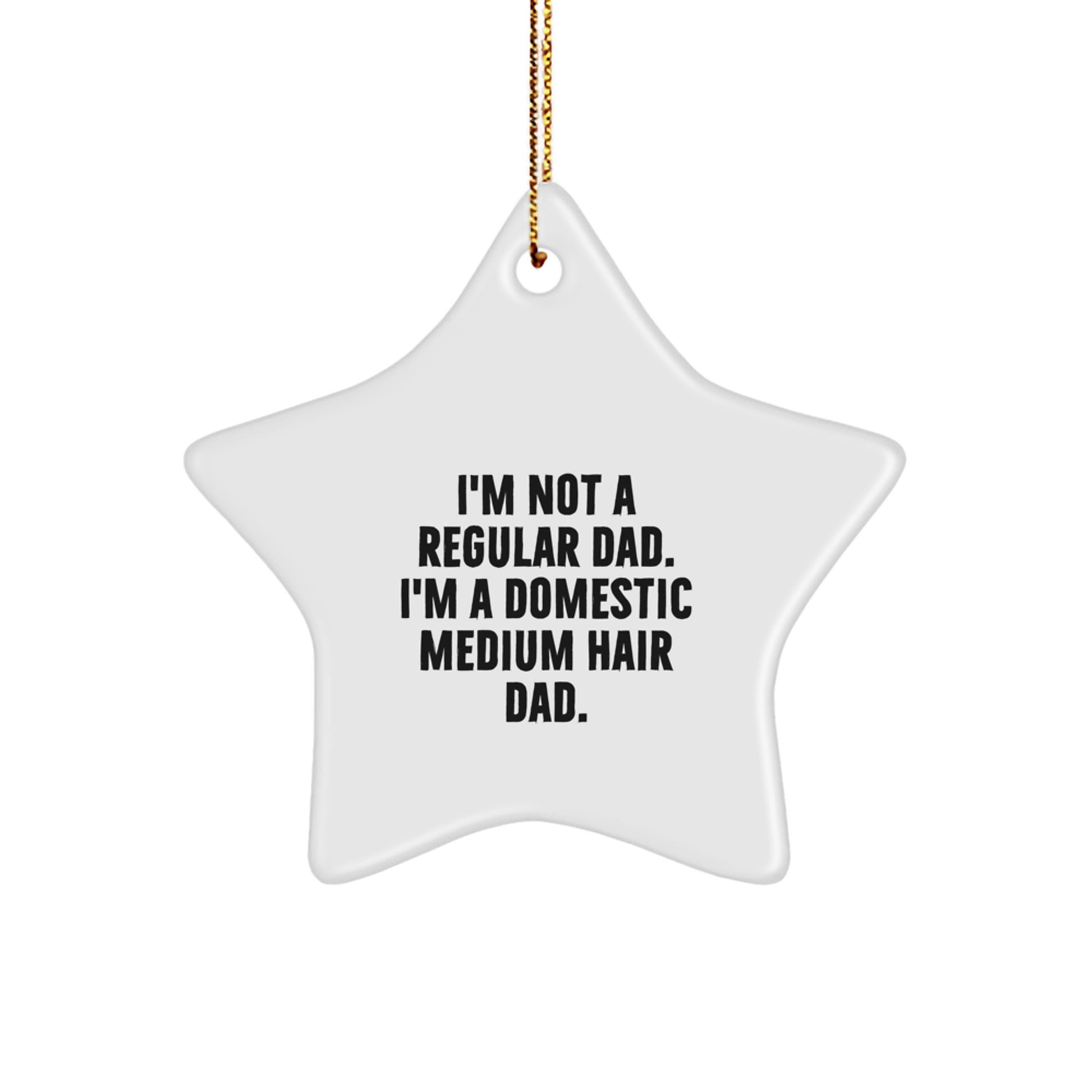 Funny Domestic Medium Hair Dad Star Ornament for Christmas Unique Gifts from Men, Unique Christmas Star Ornaments for Domestic Medium Hair Owners - Image 1