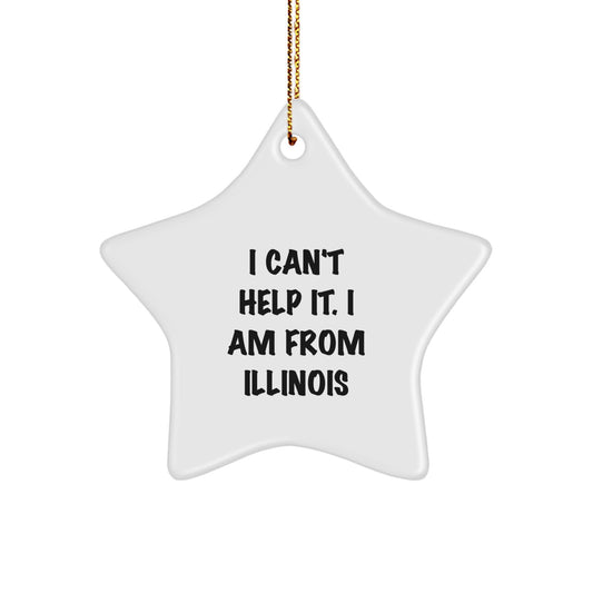 Funny Illinois Star Ornament Gifts from Friends and Family, Perfect for Illinois Enthusiasts, Star Shaped Decorations for Christmas Unique Gifts - Image 1