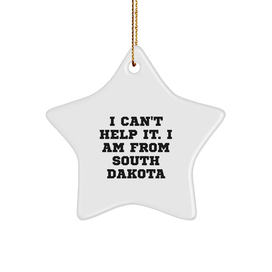South Dakota Gifts from Friends, Funny Star Ornament, Christmas Unique Gifts for South Dakota Men, Women, Family - Image 1