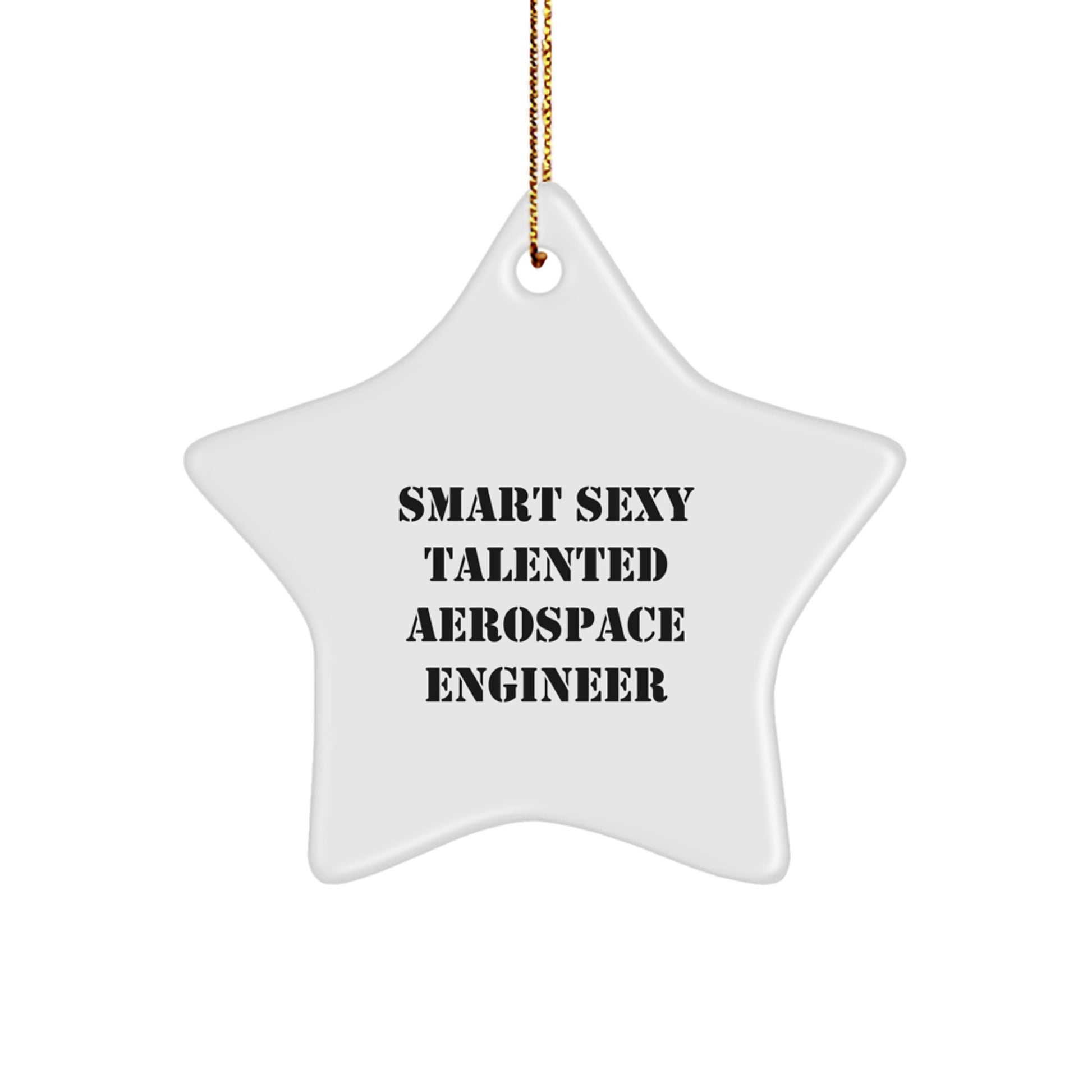 Funny Aerospace Engineer Star Ornament Gifts from Friends, Unique Christmas Unique Gifts for Smart Sexy Talented Aerospace Engineers, Star Shaped Decorations - Image 1