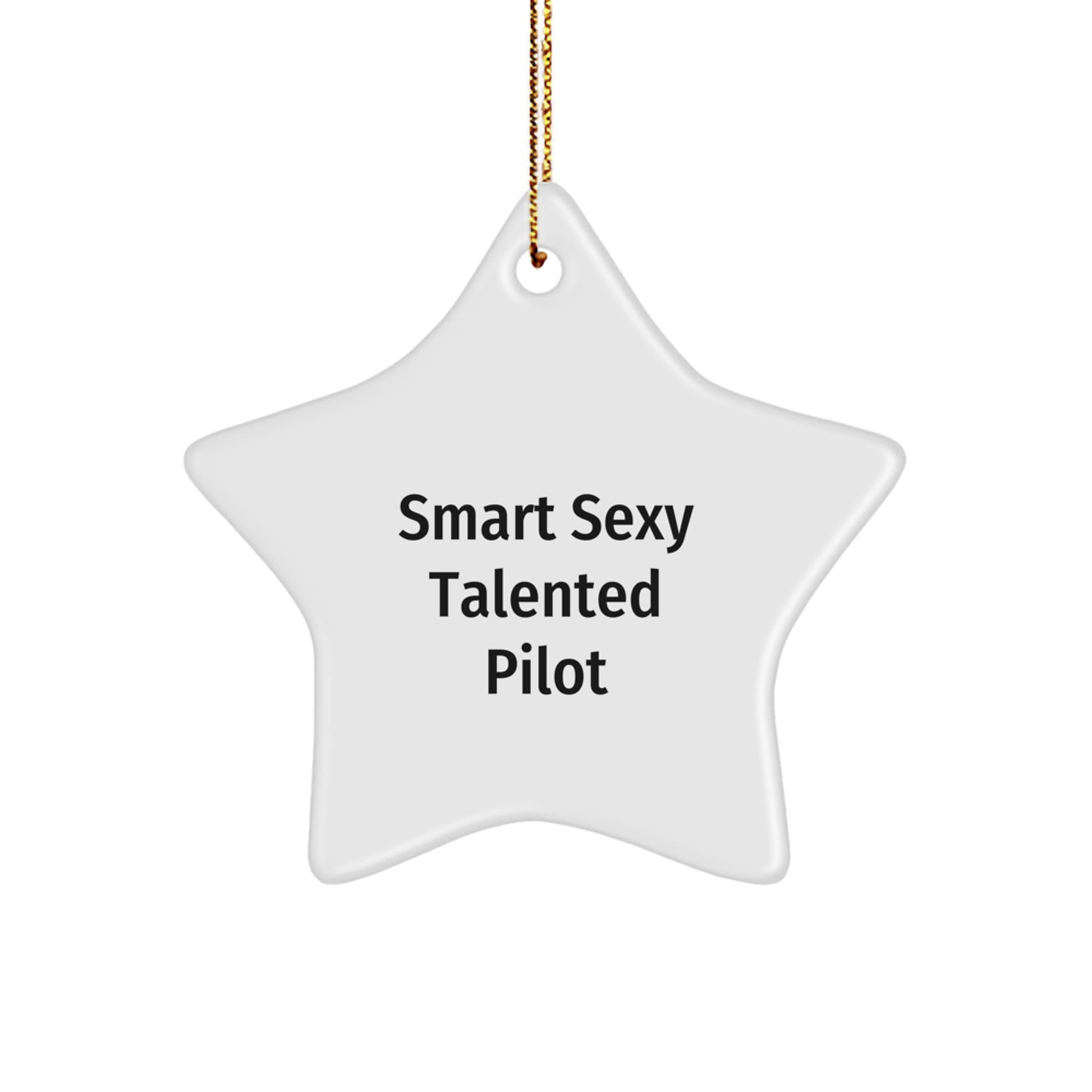Funny Pilot Star Ornament Gifts from Friends for Pilot Christmas Unique Gifts - Image 1