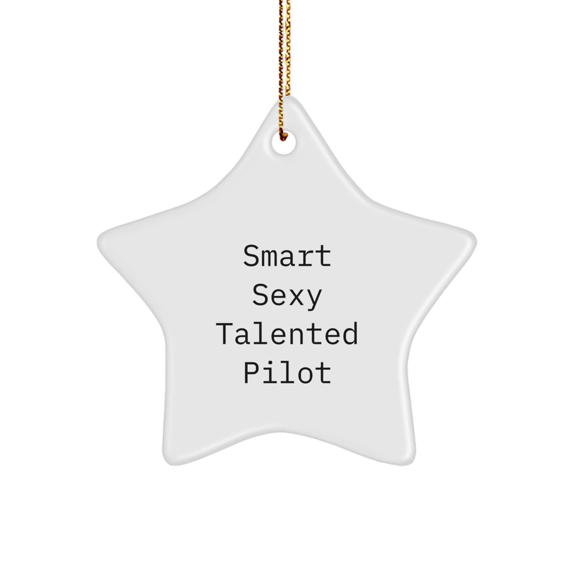 Funny Smart Sexy Talented Pilot Christmas Unique Gifts for Pilot Friends and Family - Pilot Star Ornament, Gifts from Men to Women Coworkers, Pilot Star Decoration - Image 1