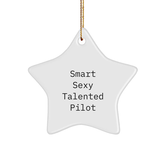 Funny Smart Sexy Talented Pilot Christmas Unique Gifts for Pilot Friends and Family - Pilot Star Ornament, Gifts from Men to Women Coworkers, Pilot Star Decoration - Image 1