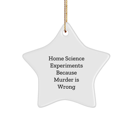 Home Science Experiments Fun Gifts from Family for Home Science Enthusiasts Star Ornament, Funny Quote, Christmas Unique Decorations - Star Shaped, White Color - Image 1