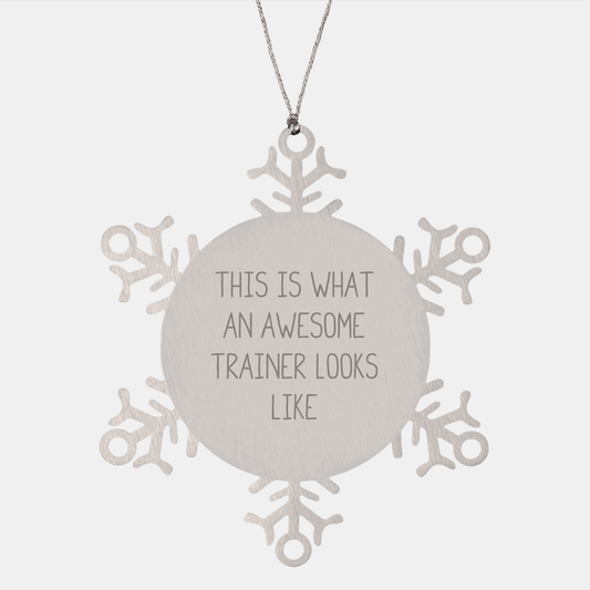Trainer Gifts from Friends, Snowflake Ornaments for Awesome Trainers, 'This Is What An Awesome Trainer Looks Like' Funny Xmas Gift - Victory Thru Vision